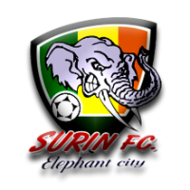 surinfc.png