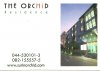 Wild Orchid Hotel.jpg