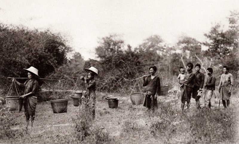 1894-surin-farmers.jpg