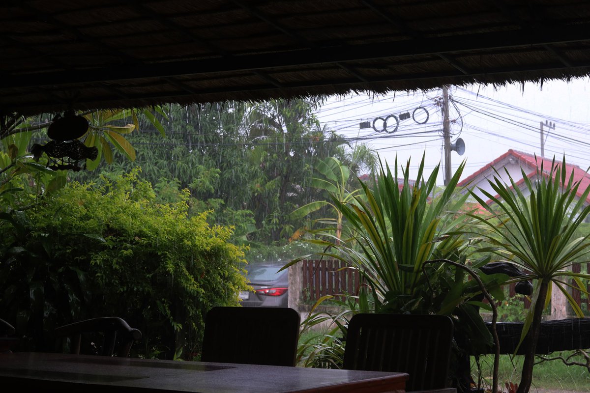 Bamboozled rain 1 s.jpg
