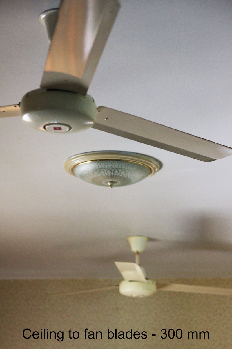 ceiling fans.jpg