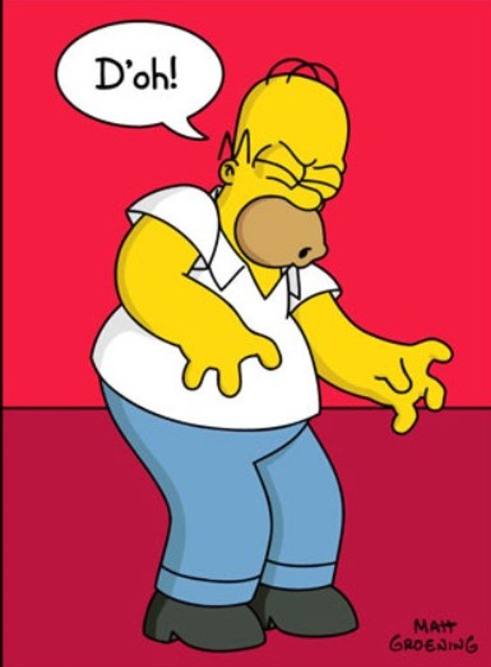 HOMER 2.jpg