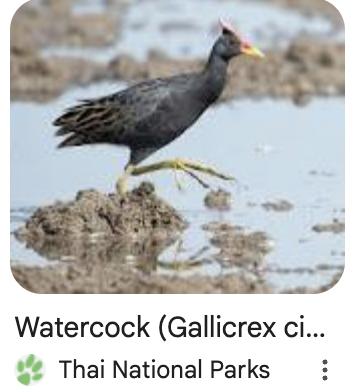 Screenshot 2025-12-22 at 6.59.58 PM.png