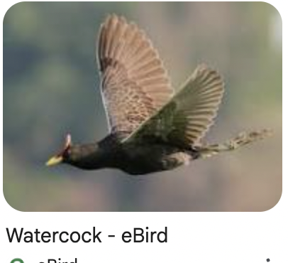 Screenshot 2025-12-22 at 7.05.41 PM.png